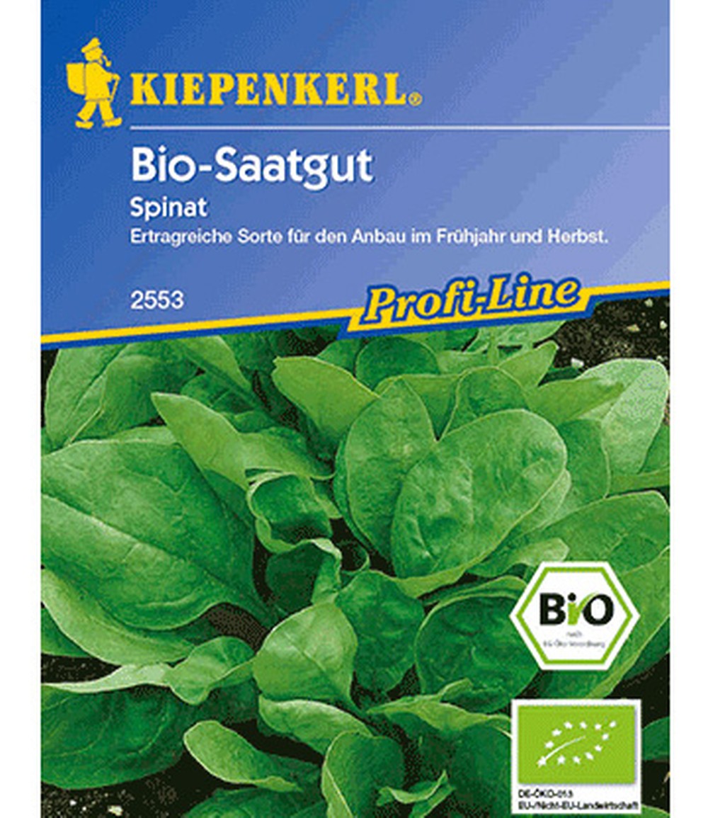 BIOSpinat BIO Saatgut bei BALDURGarten