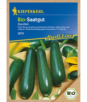 BIO-Zucchini, grün