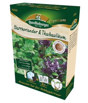 Anzuchtset 'Koriander & Thaibasilikum'
