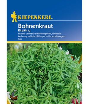 Bohnenkraut Einjährig