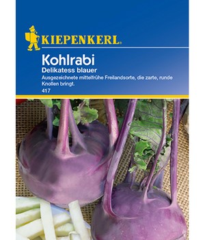 Kohlrabi 'Delikatess blauer'