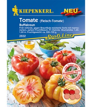 Fleisch-Tomate 'Buffalosun' F1