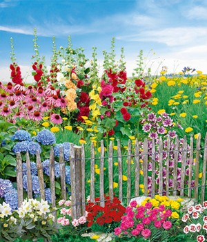 Staudenbeet 'Bauerngarten'