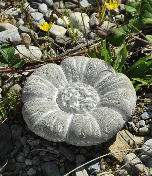 Blüte 'Margerite' 21cm