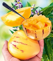 Exotisches Obst