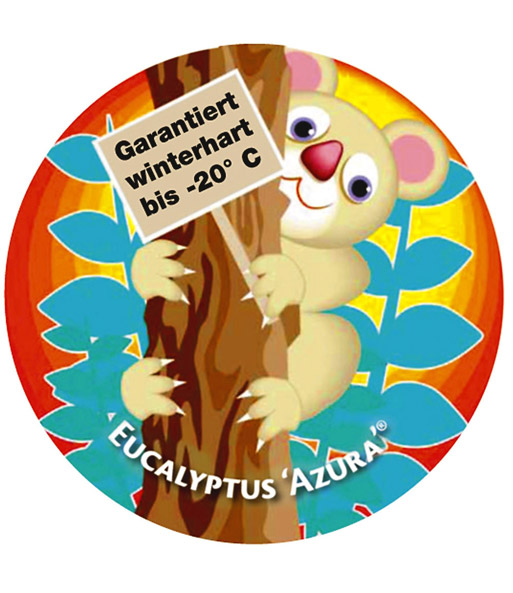 Logo mit Text: „Garantier winterhart bis -20° C. EUCALYPTUS „AZURA“®“