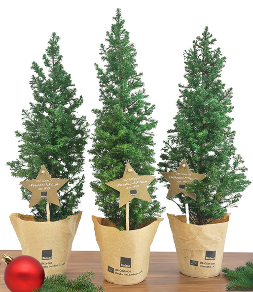 Mini-Weihnachtsbaum 3er-Set 