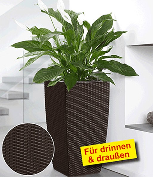 EMSA® CASA MESH Säule  58 cm hoch 'mocca'