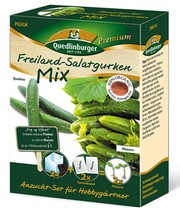Anzuchtset 'Freilandsalatgurken Moneta & Qualitas'