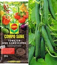 Veredelte Salatgurke 'Phönix®' & COMPO® SANA® Tomaten- und Gemüseerde