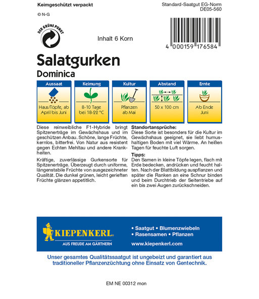 Salatgurken 'Dominica'