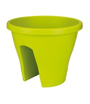 Corsica Flower Bridge® limegrün, 30 cm ø