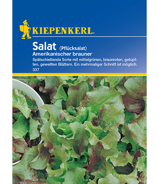 Pflücksalat 'Amerikanischer brauner'