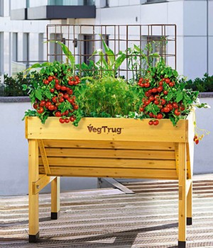 Vegtrug® Hochbeet Holz 100 x 78 x 80 cm