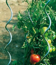 Tomaten-Spiralstab 110 cm 5er-Set
