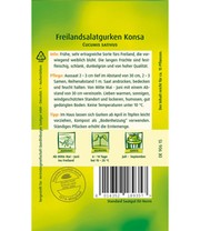 Freiland Salatgurke 'Konsa' F1