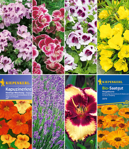 Essbare Bluten Kollektion Jetzt Bestellen Baldur Garten