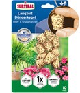 Substral® Langzeit Düngerkegel Blüh- und Grünpflanzen