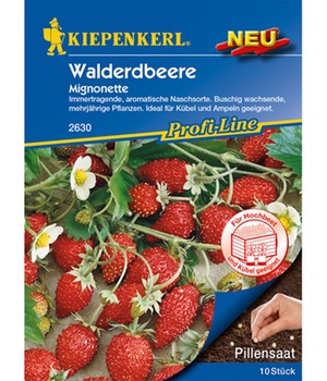 Walderdbeere 'Mignonette'