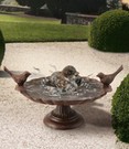 Vogelbad Wildvögel