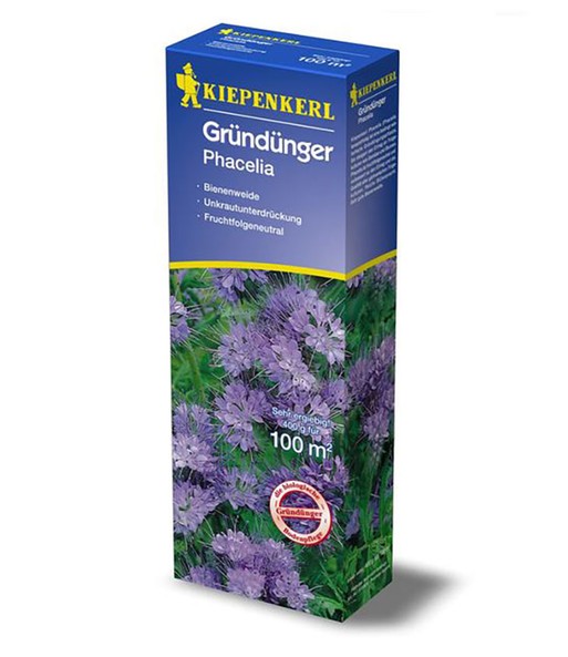 KIEPENKERL Gründünger Phacelia