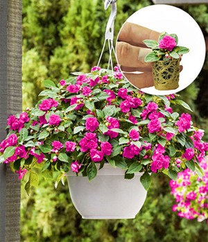 Impatiens 'Glimmer® Hot Pink'