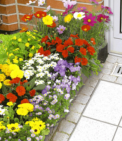 Bunter Blumen-Teppich