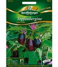 Topf-Aubergine 'Patio Baby' F1