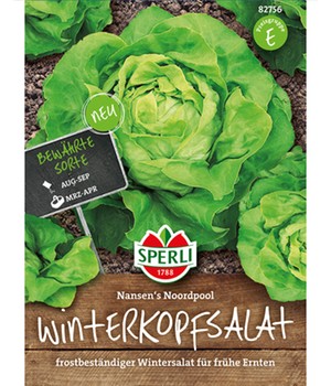 Winterkopfsalat 'Nansen´s Noordpool'