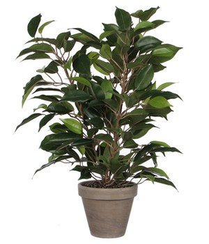 Kunstpflanze 'Ficus' 40 cm