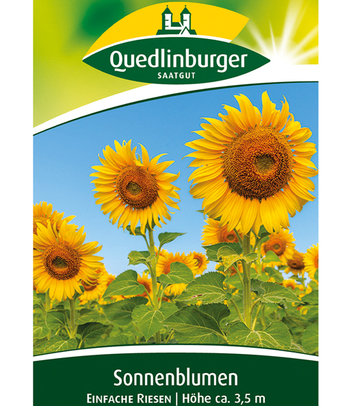 Sonnenblume 'Einfache Riesen'