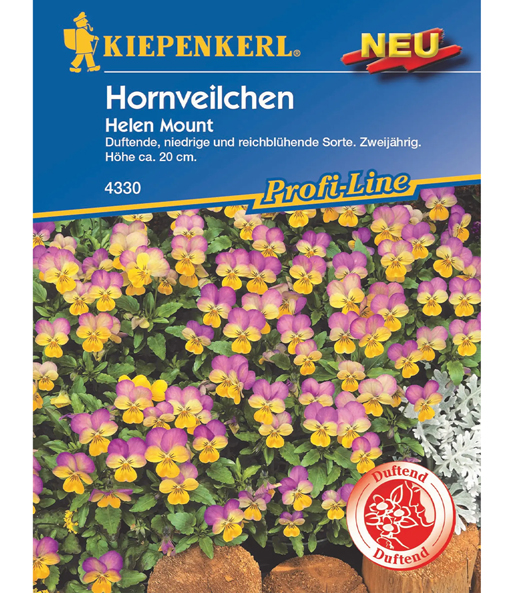 Hornveilchen 'Helen Mount'