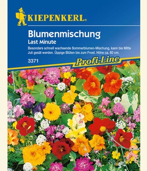 Blumenmischung 'Last Minute'