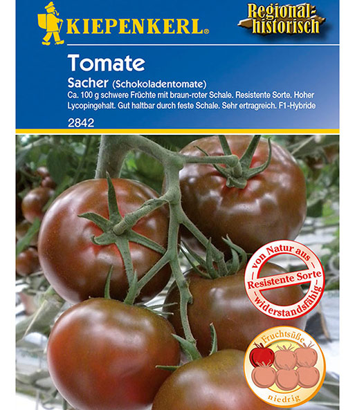 Schokoladen-Tomate 'Sacher' F1