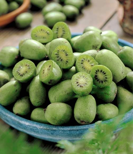 Viele kleine grüne Kiwis aus der DUO-Kiwi-Turm-Kollektion liegen halbiert und gehäuft in einer großen Schale.
