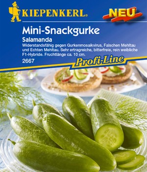 Snackgurke 'Salamanda' F1