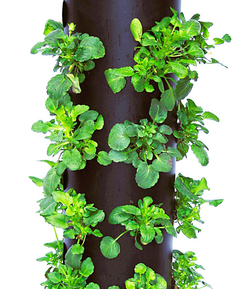 Flower Tower®
