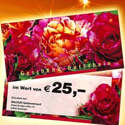 Geschenkgutscheine