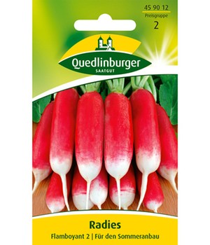 Radies Flamboyant 2