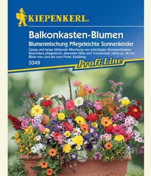 Balkonkasten-Blumenmix 'Pflegeleichte Sonnenkinder'