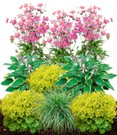Staudenbeet 'Schattengarten'