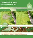 Captain Green® Wunder-Grasmatte mit Saatgut