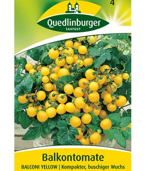 Tomate 'Balconi Yellow'