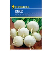 Rettich 'Runder weißer'