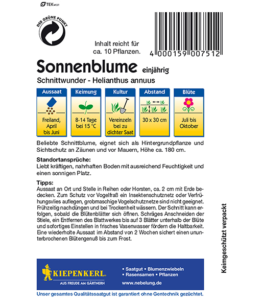 Sonnenblume 'Schnittwunder'