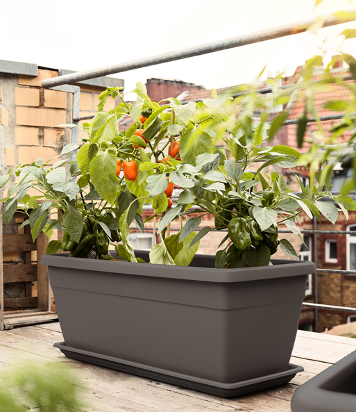EMSA® 'My City Garden' Untersetzer granit 74x29 cm