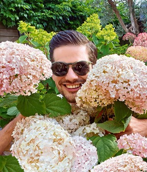 Freiland-Hortensie 'Candybelle® Marshmallow'