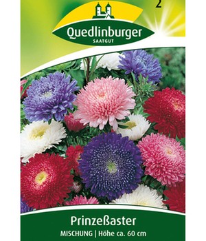 Riesen-Prinzess-Astern-Mix