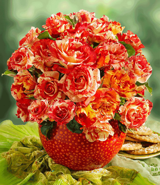 Malerrose® 'Alfred Sisley®'