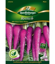 Blauer Rettich